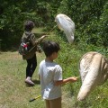 The Benefits of After-School Programs in Alachua County, Florida