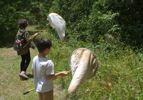 The Benefits of After-School Programs in Alachua County, Florida